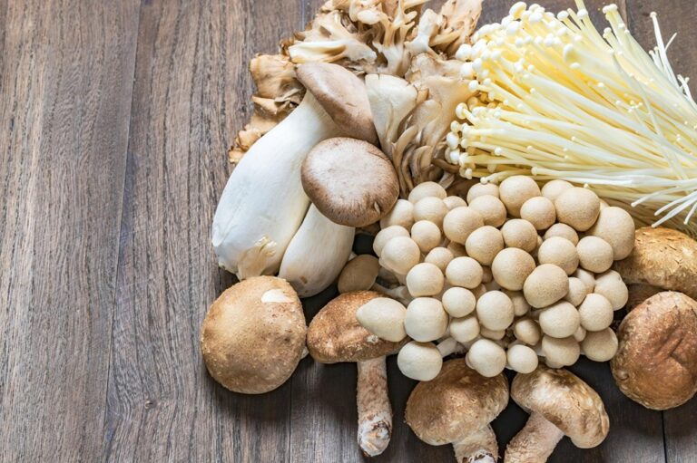 Why Mushrooms Are So Healthy An In-Depth Look